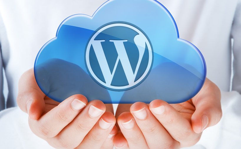 WordPress İçin En Uygun Hosting Türü Hangisidir