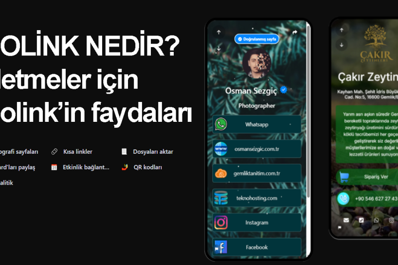 biolink-nedir